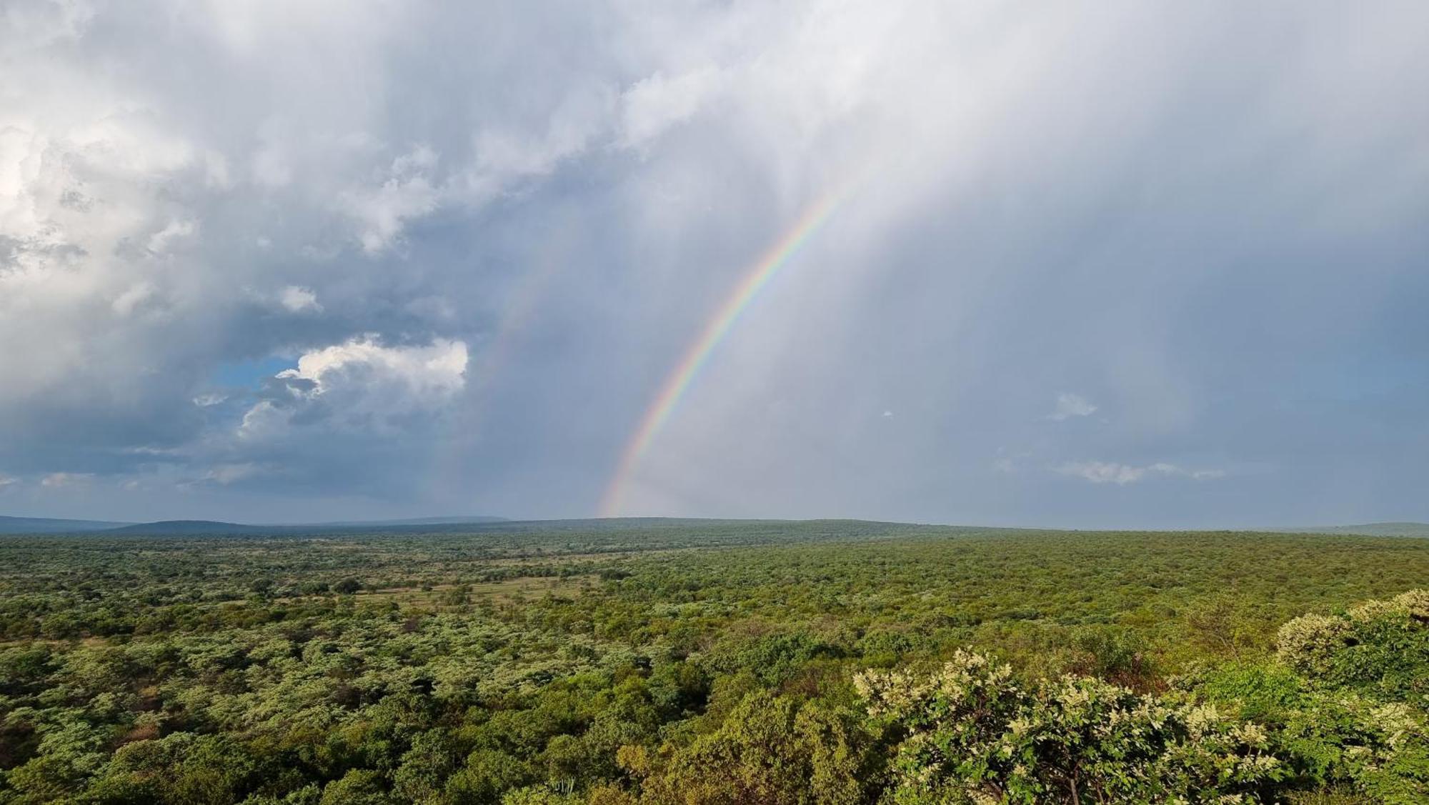Bushwa Private Game Lodge Vaalwater Exterior foto